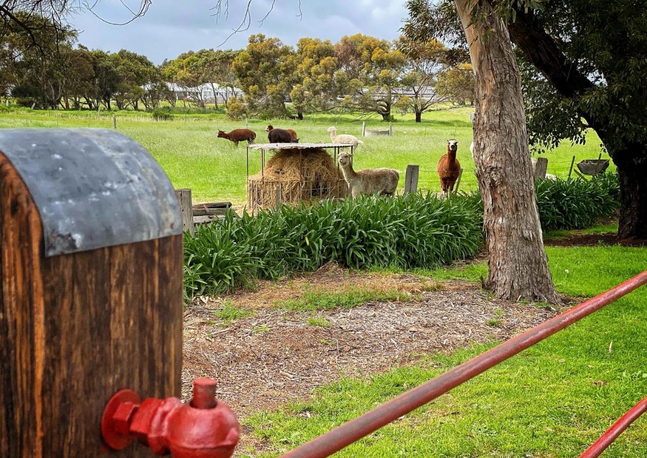 Cherry Plum Cottages Port Fairy Dış mekan fotoğraf
