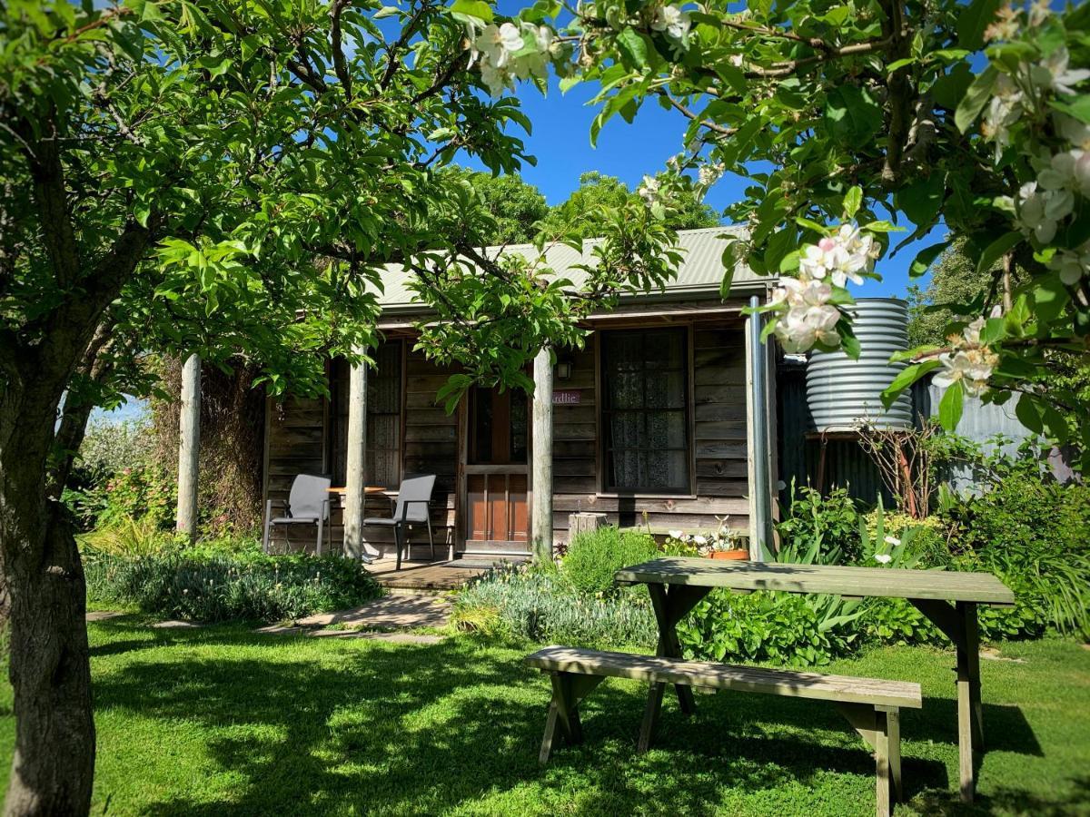 Cherry Plum Cottages Port Fairy Dış mekan fotoğraf